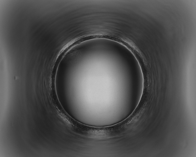 X0000085780834200703231244