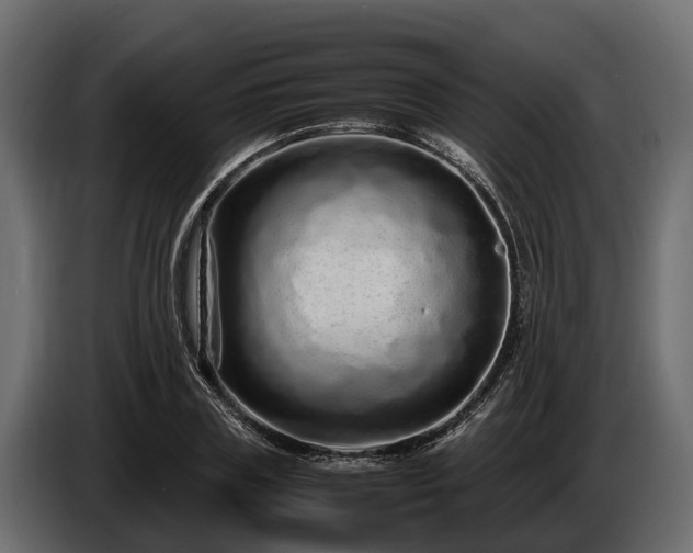 X0000085780835200703231244