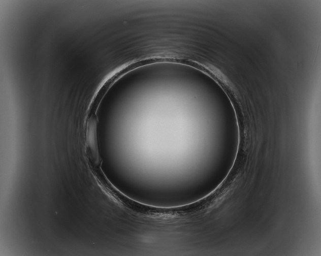 X0000085780838200703231244