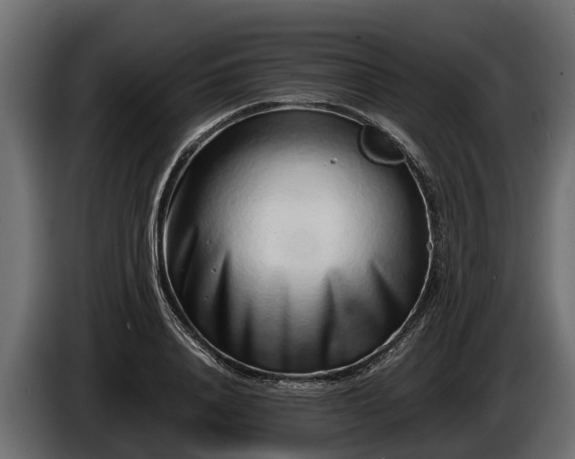 X0000085780840200703231244