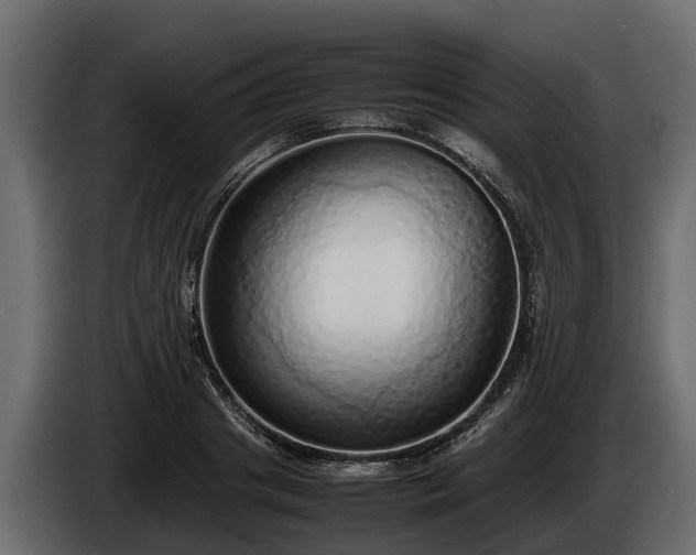 X0000085780841200703231244