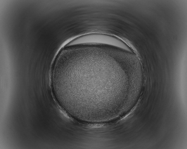 X0000085780846200703231244