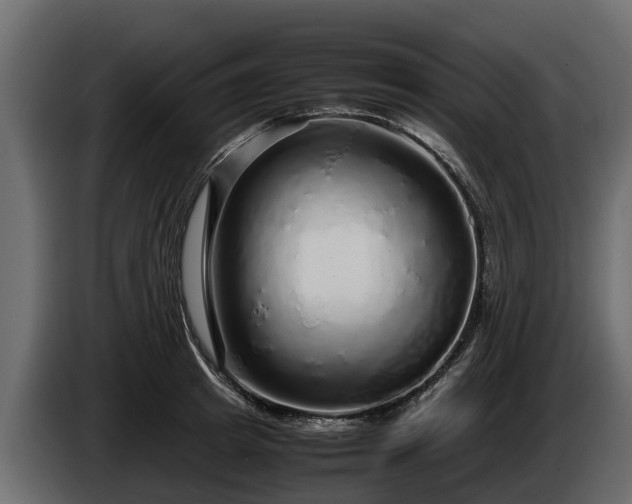 X0000085780849200703231244