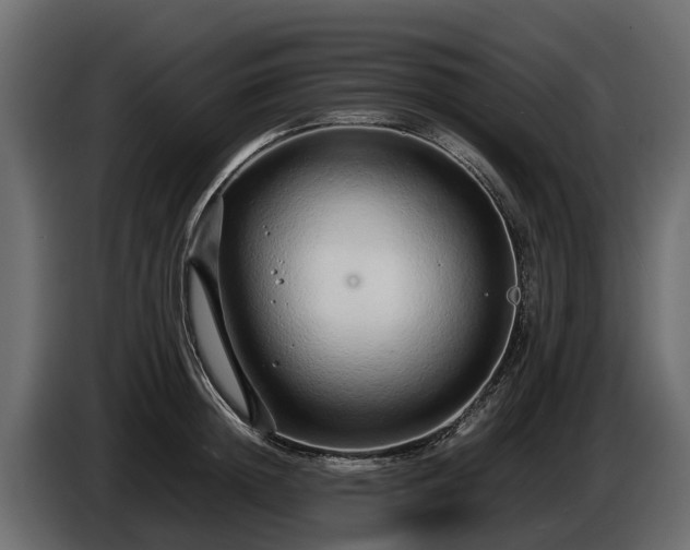 X0000085780852200703231244