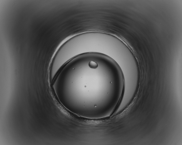 X0000085780854200703231244