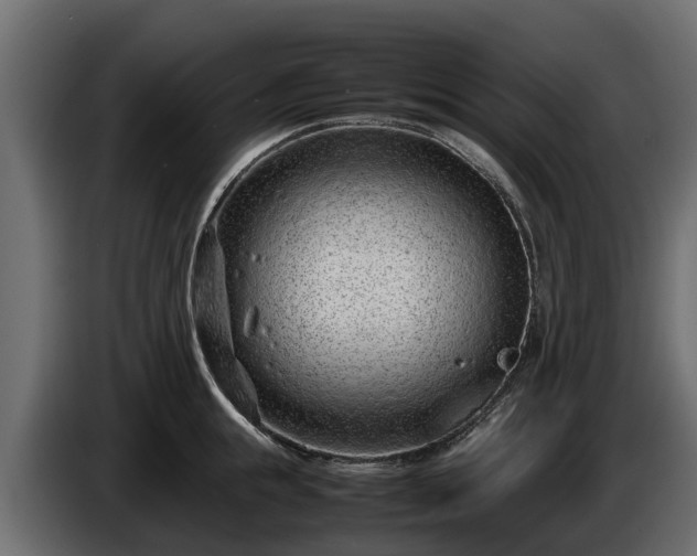 X0000085780855200703231244