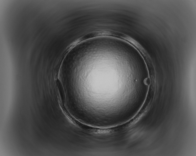 X0000085780857200703231244