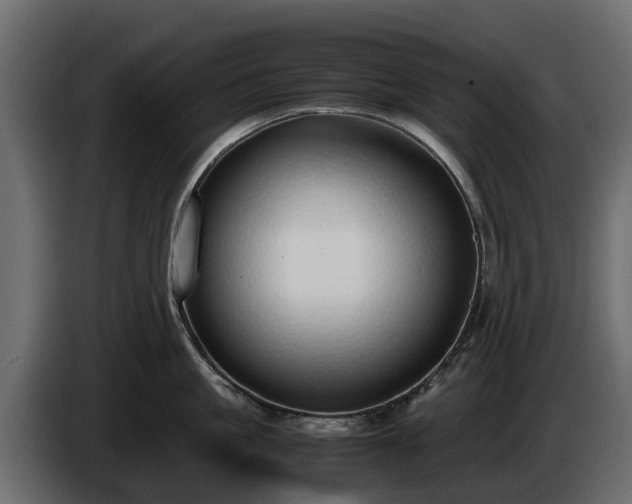 X0000085780861200703231244