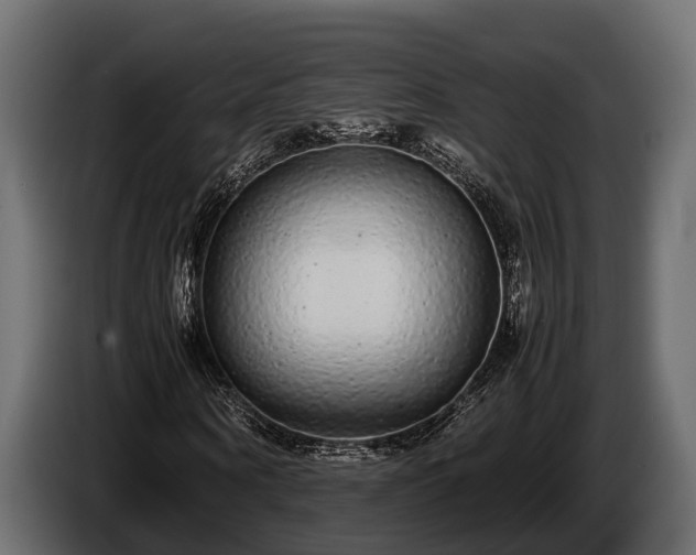 X0000085780866200703231243