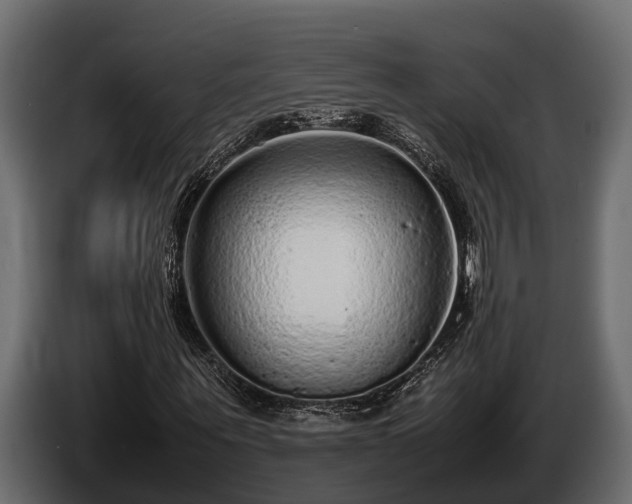 X0000085780867200703231243