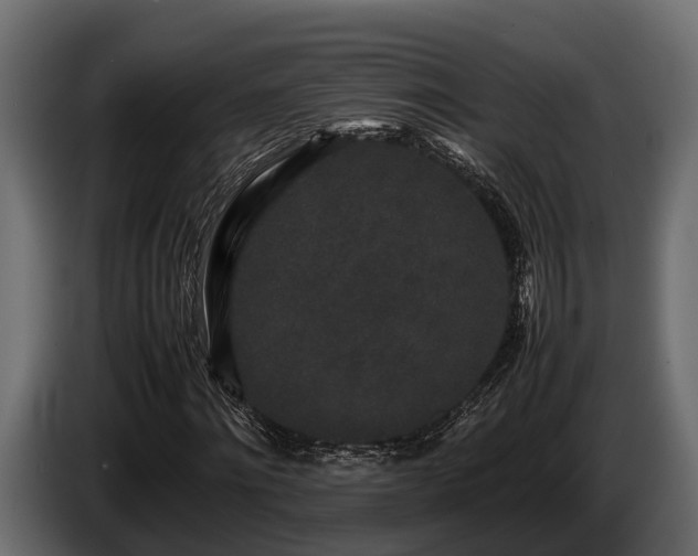 X0000085780868200703231243