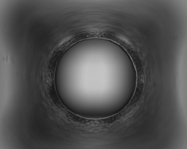 X0000085780869200703231243