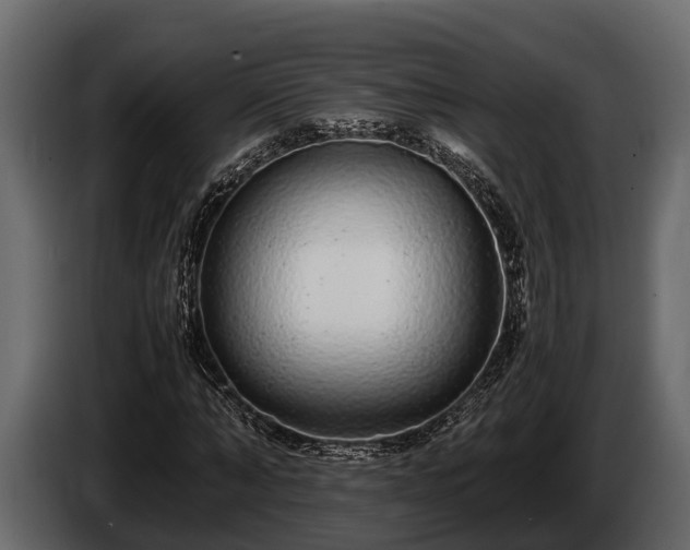 X0000085780870200703231243