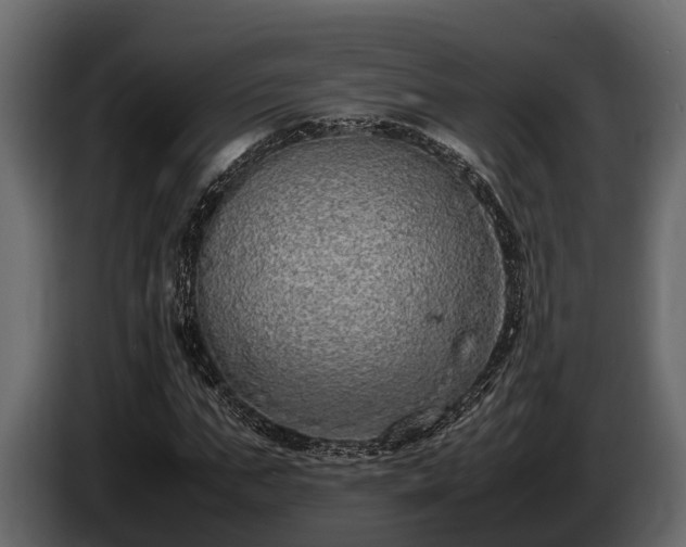 X0000085780871200703231243