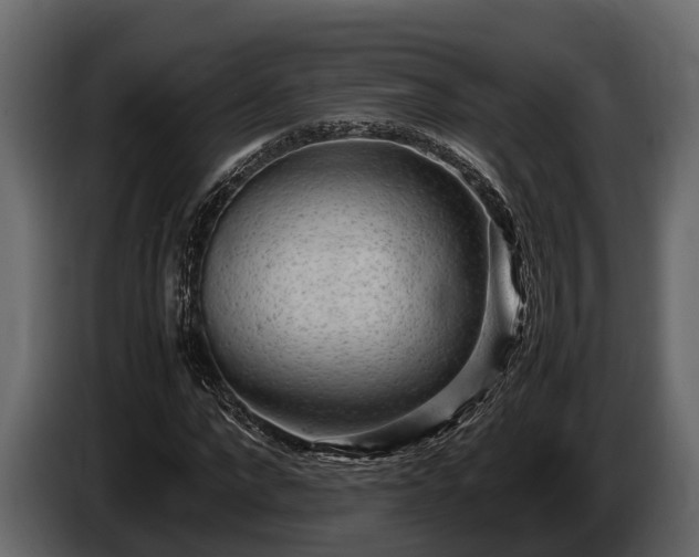 X0000085780872200703231243