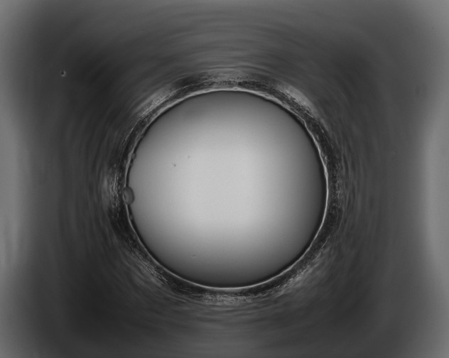 X0000085780873200703231243