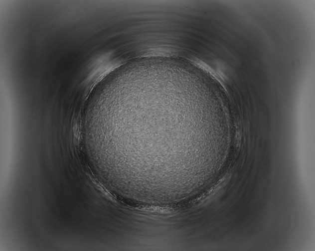 X0000085780874200703231243