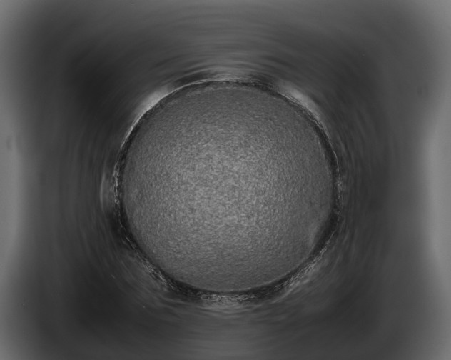 X0000085780875200703231243