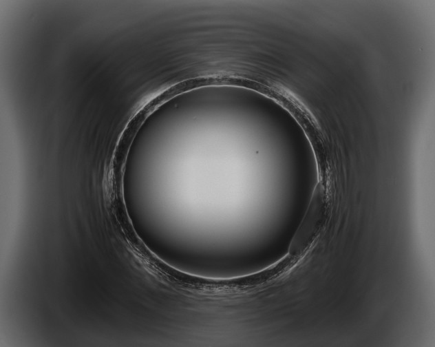 X0000085780876200703231243