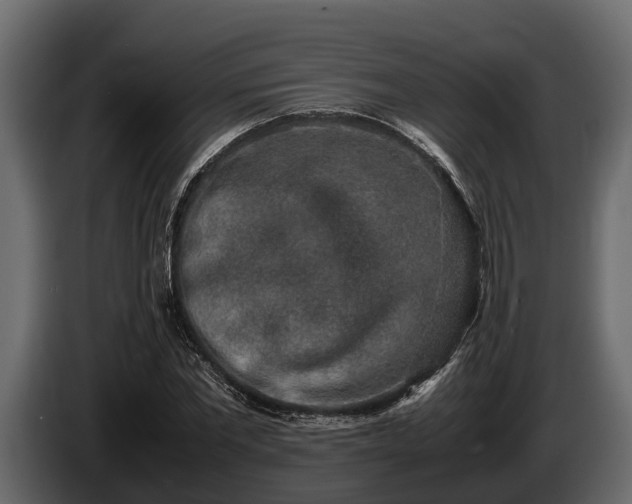 X0000085780877200703231243