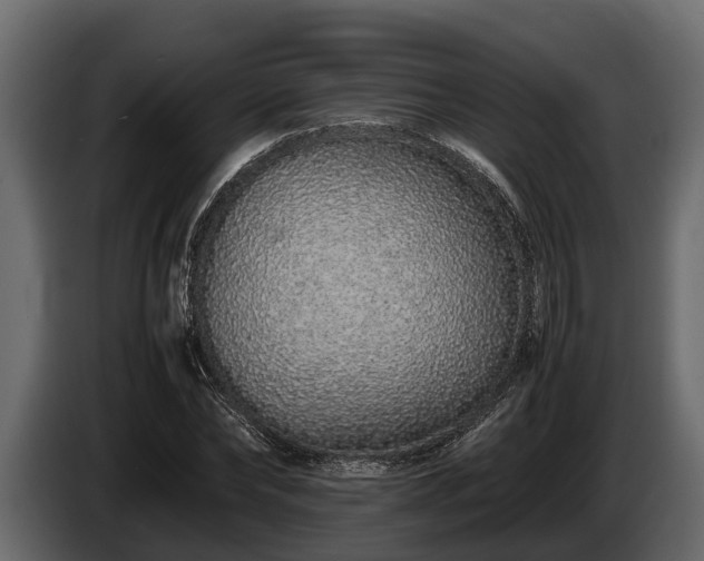 X0000085780878200703231243