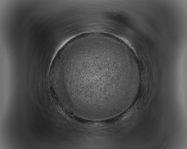 X0000085780879200703231243