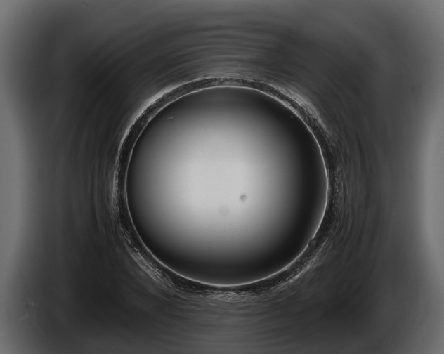 X0000085780880200703231243