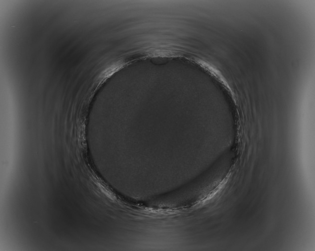 X0000085780881200703231243