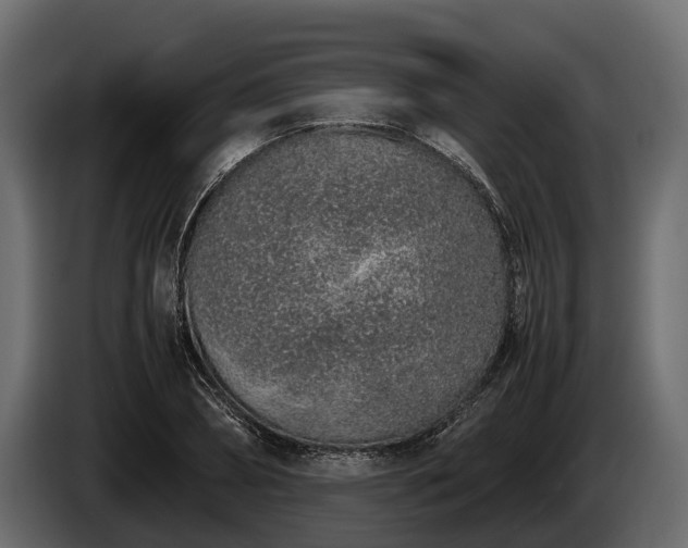 X0000085780882200703231243