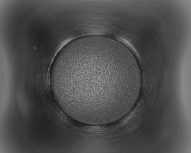 X0000085780883200703231243