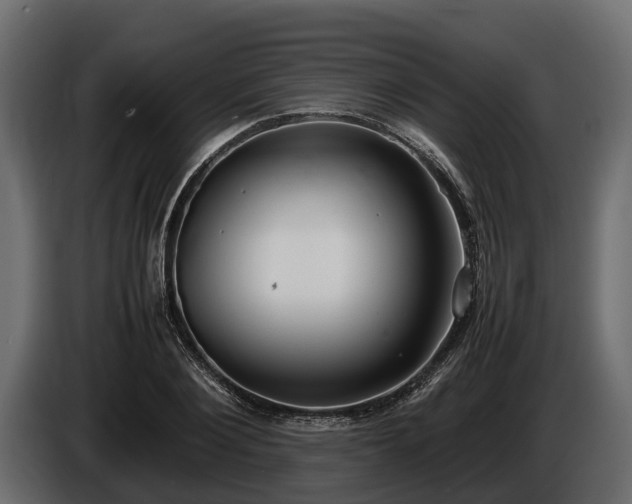 X0000085780884200703231243