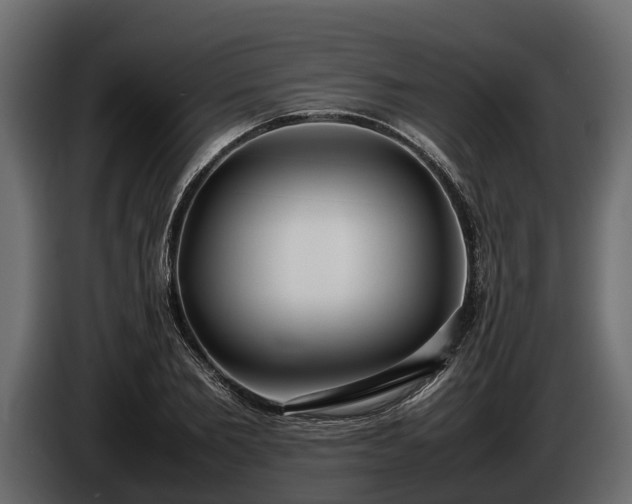 X0000085780885200703231243