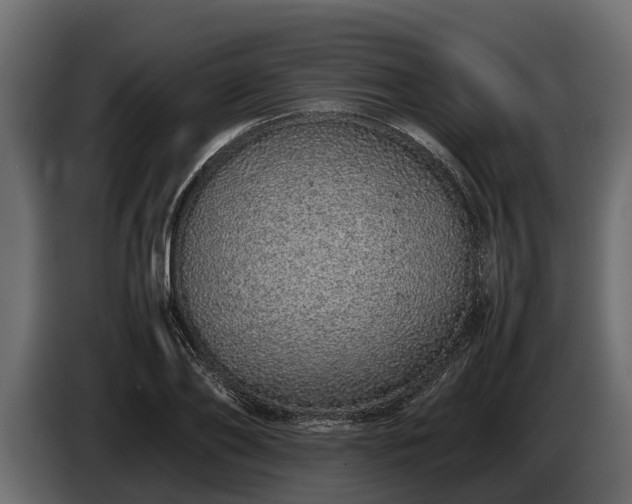 X0000085780886200703231243