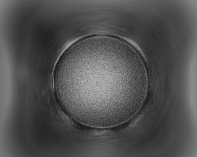 X0000085780887200703231243