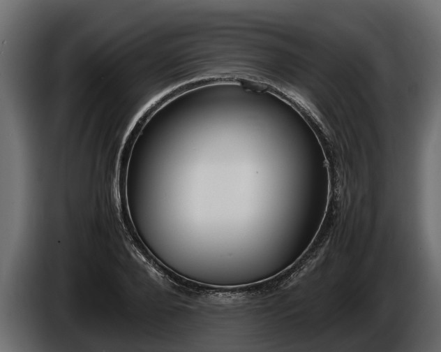 X0000085780888200703231243