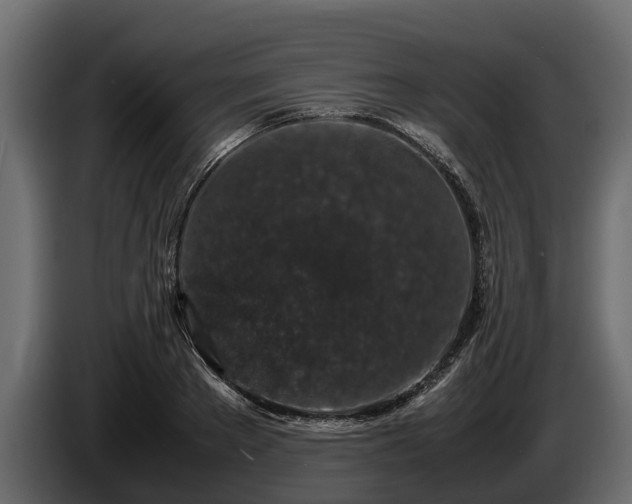 X0000085780889200703231243