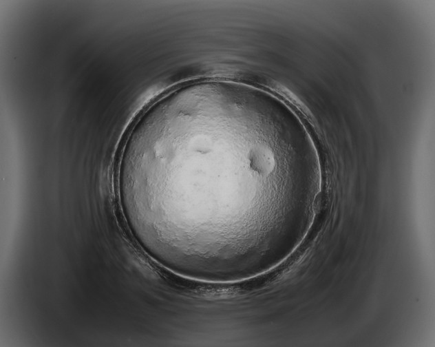 X0000085780891200703231243