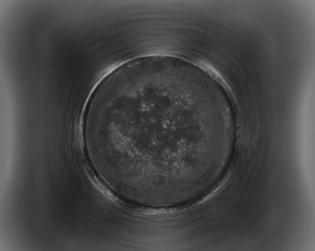 X0000085780892200703231243