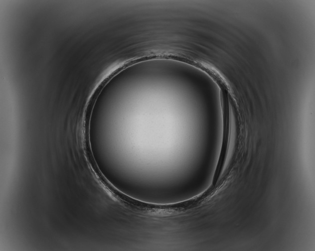 X0000085780894200703231243