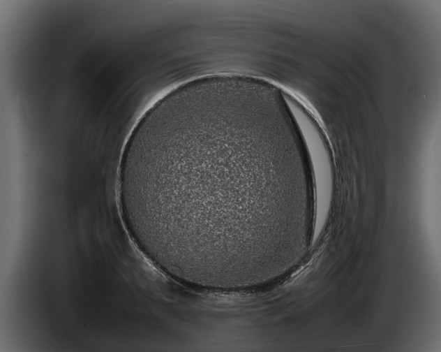 X0000085780895200703231243