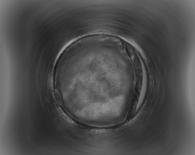 X0000085780896200703231243