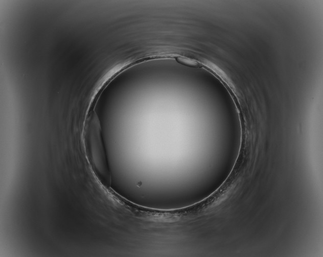 X0000085780901200703231243