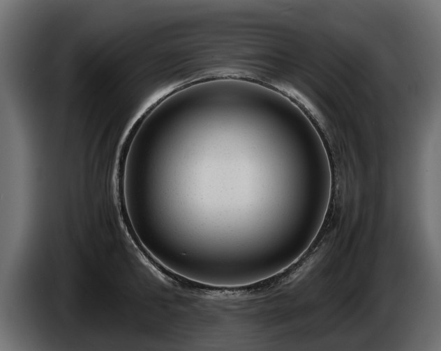 X0000085780902200703231243