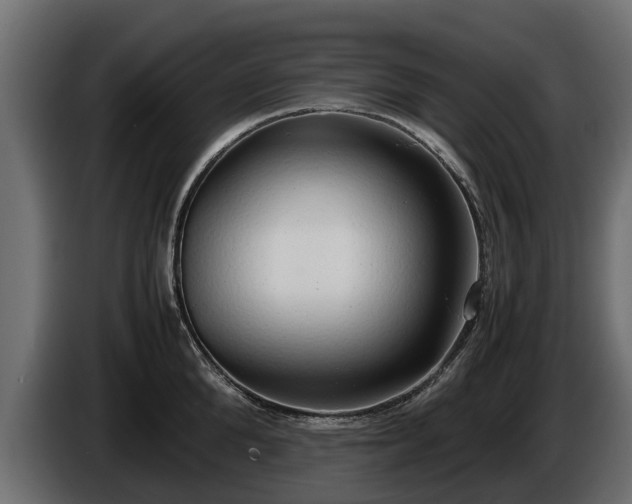 X0000085780904200703231243