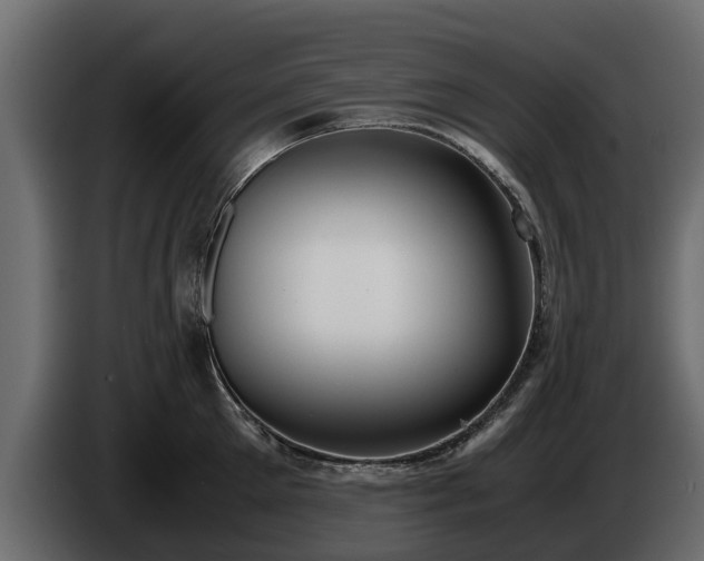 X0000085780905200703231243