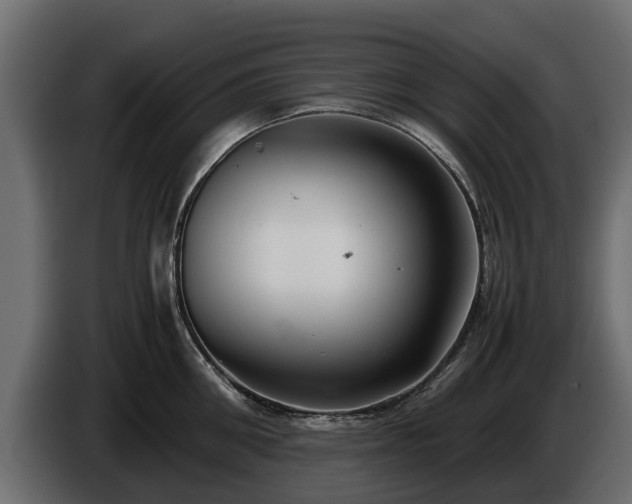 X0000085780906200703231243