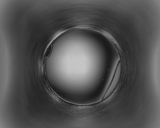 X0000085780908200703231243