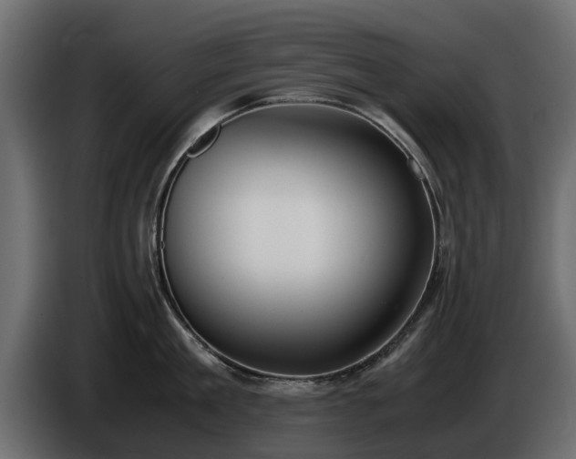 X0000085780909200703231243