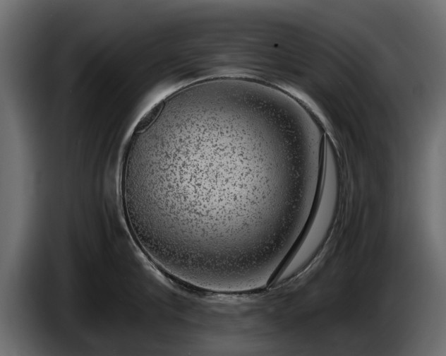 X0000085780910200703231243