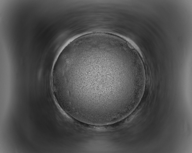 X0000085780911200703231243